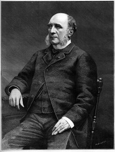 Duke Louis Charles Decazes (1819-1886), French politician, Minister of Foreign Affairs from 1873 to 1877 by Unknown artist