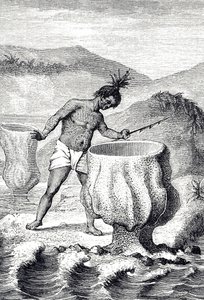 Engraving Depicting a Variety of Sponge Called Neptune