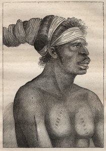 Expedition of Antoine Bruny d