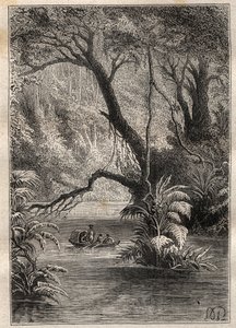 Expedition to America (1799-1804) by Alexander von Humboldt (1769-1859) and Aime Bonpland (1773-1858): the explorers descend the Orenoque, surrounded by the gigantic trees of the Amazon forest (Cano Pimichin, Venezuela) - illustration taken from 