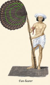 Fan Bearer