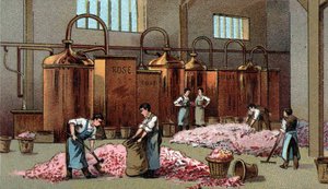 Flower distillery for the production of petrol and water of Flowers. Chromolithography of the late 19th century