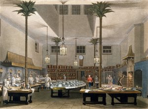 Grand Hotel: the kitchens of the Great Pavillon Hotel in Brighton. 1850 by Unknown artist