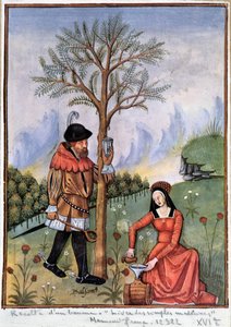 Harvesting a balm - Book of simple medicines by Unknown artist