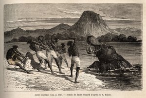 Hippo hunting with the Houarti tribe, engraving illustrating the exploration of the Abyssinian tributaries of the Nile by Sir Samuel W. Baker, published in 