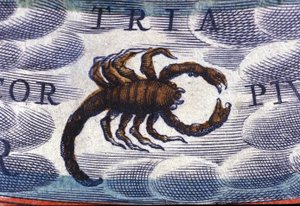 Horoscope: Sign of the Zodiac, the Scorpion by Unknown artist