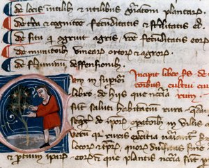 Horticulture: harvesting fruits. (detail) Manuscript page from 