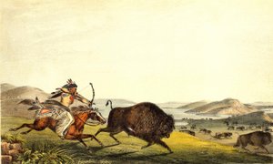 Hunting bison in North America by Unknown artist