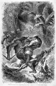 Illustration published in the 1862 edition of Le Tour du monde depicting a battle between a dayak and an orang outan (orang-utan, orang outang, orang-utang) on the island of Borneo. Engraving