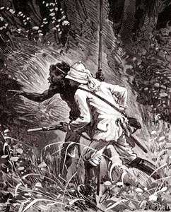 In the Rubber (Hevea) Fields in Guyana Jungle by Unknown artist