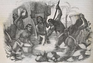 Indians from Island of Hispaniola panning for gold by Unknown artist