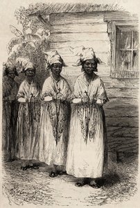Indigenous Women of Guyana at the Catholic Procession of the Fete Dieu, Engraving to Illustrate the Voyage in French Guiana by Unknown artist