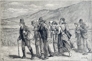 Ireland: seasonal workers for harvest
