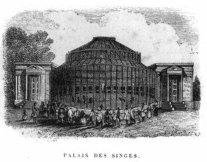 Jardin des Plantes in Paris in 1861: palace of the monkeys