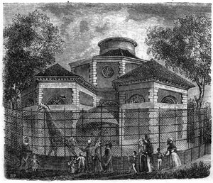 Jardin des Plantes in Paris in 1861: rotunda of elephants and giraffes