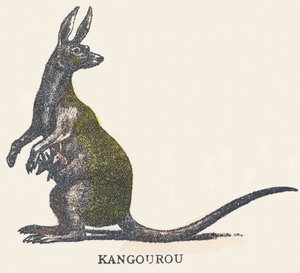 Kangaroo by Unknown artist