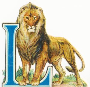 L: Lion