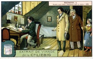Liebig chromolithography by Unknown artist