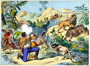 Lion hunt in Southern Africa
