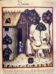 Manufacture of butter. Illumination from the Tacuinum sanitatis