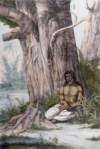 Meditation at the foot of a tree, India