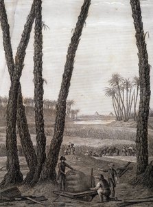 Memphis, view of the ruins (scientists and working artists) - in 