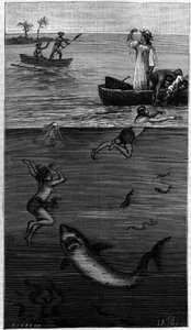 Mother of Pearl Culture in Tahiti: A Mother of Pearl Harvester Attacked by a Shark by Unknown artist