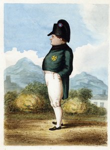 Napoleon Bonaparte on the Island of Saint Helena by Unknown artist