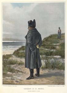 Napoleon at St. Helena by Unknown artist