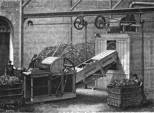 Paper making in the 19th century