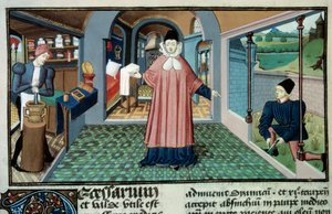 Pharmacy: An apothecary, the picking of plants and the preparation of medicaments. Miniature taken from L