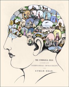 Phrenology: Phrenological Development. 19th Century Engraving