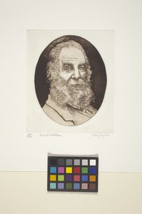 Portrait of Walt Whitman by Unknown artist