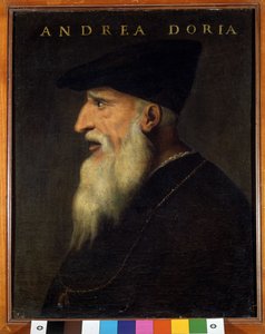 Portrait of Andrea Doria