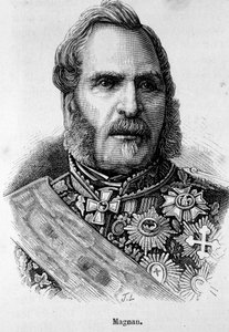 Portrait of Bernard Pierre Magnan (1791-1865), Marshal of France by Unknown artist