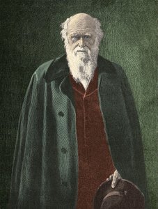 Portrait of Charles Darwin (1809 - 1882) by Unknown artist