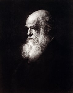 Portrait of Charles Robert Darwin (1809 - 1882)