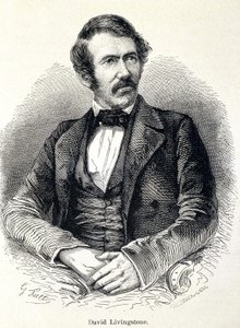 Portrait of David Livingstone by Unknown artist