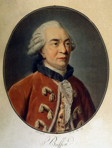 Portrait of Georges Louis Leclerc, Count of Buffon (1707 - 1788), French naturalist and writer. by Unknown artist