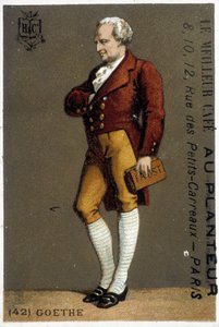 Portrait of Goethe by Unknown artist