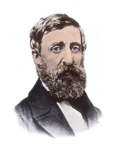 Portrait of Henry David Thoreau - American essayist, poet, philosopher, abolitionist, naturalist, tax resister, development critic, surveyor, and historian