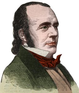 Portrait of Jean Louis Rodolphe Agassiz, American Naturalist by Unknown artist