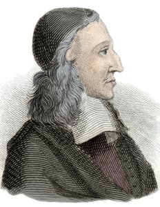 Portrait of Johan de Witt, Dutch politician, economist and mathematician (engraving)