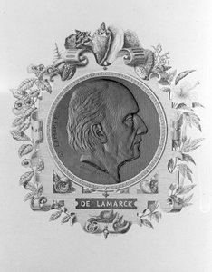 Portrait of Lamarck by Unknown artist