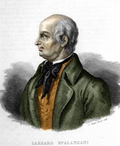Portrait of Lazzaro Spallanzani, Italian Biologist (1729 - 1799) by Unknown artist