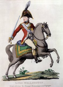 Portrait of Lord Wellington (1769-1852), General of British Troops in Spain