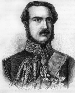 Portrait of Prince Albert, Prince of England and Ireland.