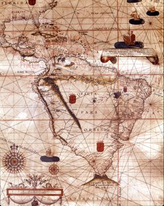 Portulan representing South America belonging to Bartolomeo Velho, 1561 by Unknown artist