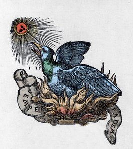 Representation of a Phoenix, Legendary Bird Reborn from Its Ashes. Engraving of the 19th Century by Unknown artist