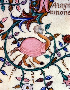 Representation of a monster with an ostrich body and a human head. Miniature of a 14th century manuscript. Milan, Biblioteca Nazionale Braidense.